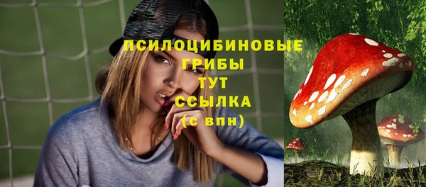 mix Армянск