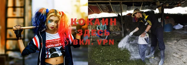 mdpv Сафоново