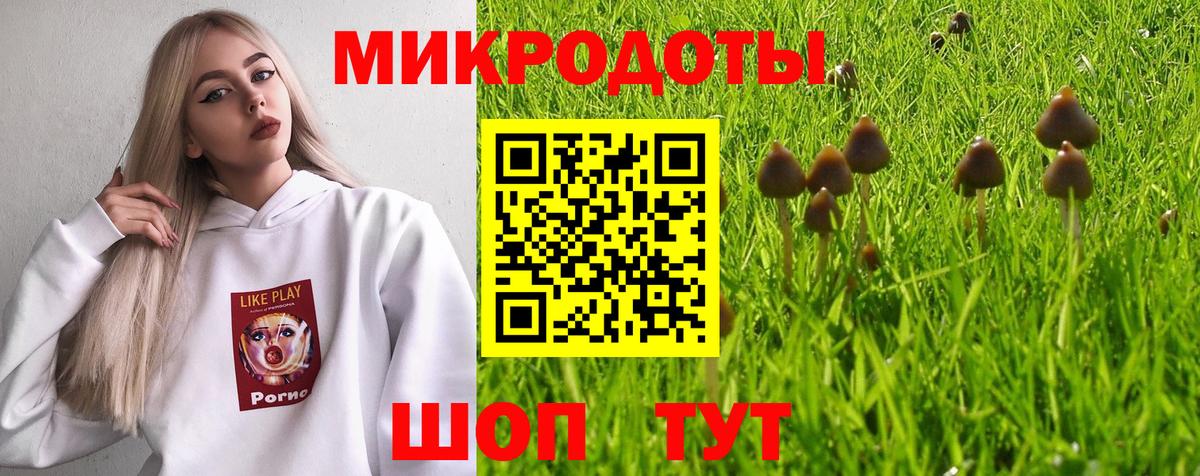 Сибай  Псилоцибиновые грибы мухоморы  Вход с VPN 